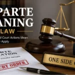 Ex Parte Meaning